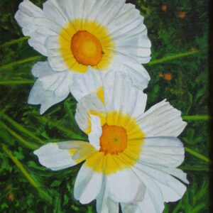 Tranquil Daisy Duo – Acrylic Painting on Canvas